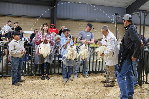 RCYPS26-Chicken-2299