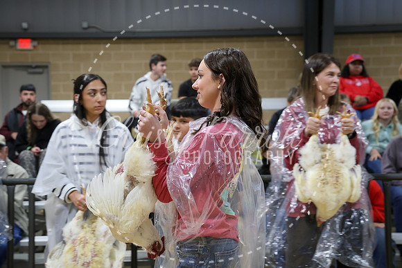 RCYPS26-Chicken-2298