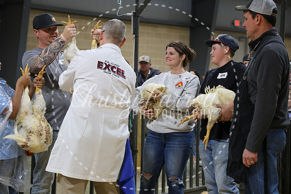 RCYPS26-Chicken-2302