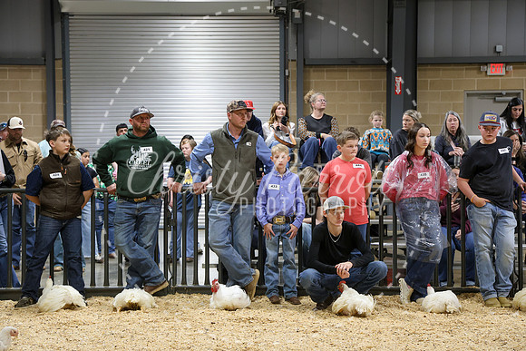 RCYPS26-Chicken-2314
