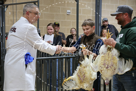 RCYPS26-Chicken-2323