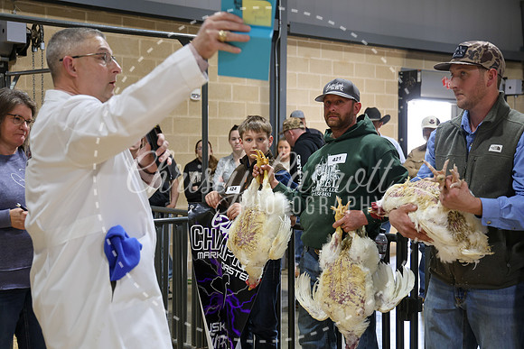 RCYPS26-Chicken-2327