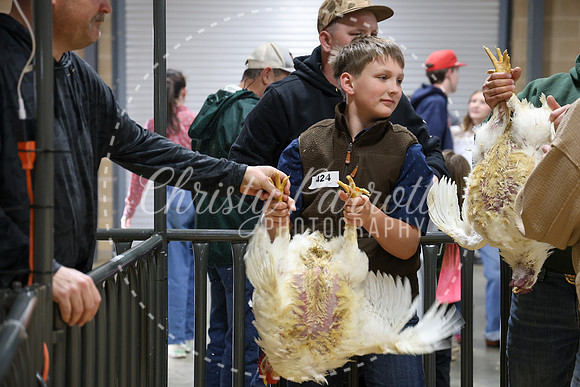 RCYPS26-Chicken-2336