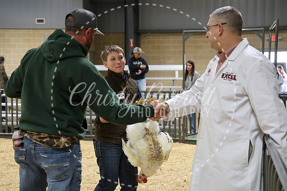 RCYPS26-Chicken-2341