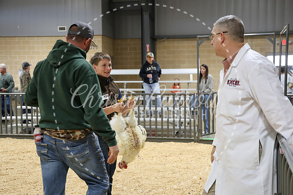 RCYPS26-Chicken-2342