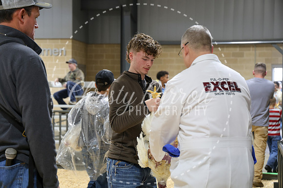 RCYPS26-Chicken-2346