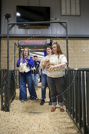 RCYPS26-Chicken-2352