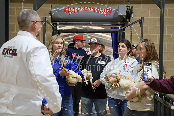 RCYPS26-Chicken-2356