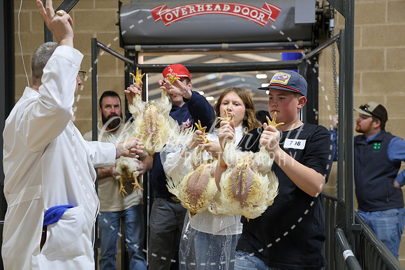 RCYPS26-Chicken-2358