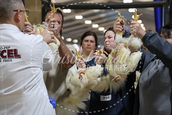 RCYPS26-Chicken-2360