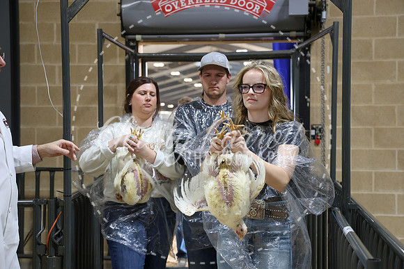 RCYPS26-Chicken-2361