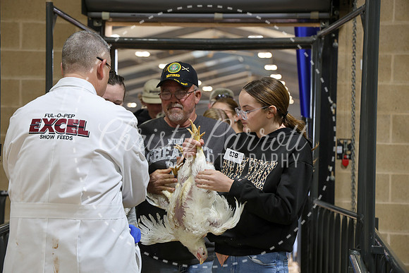 RCYPS26-Chicken-2363