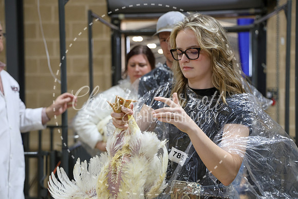 RCYPS26-Chicken-2362