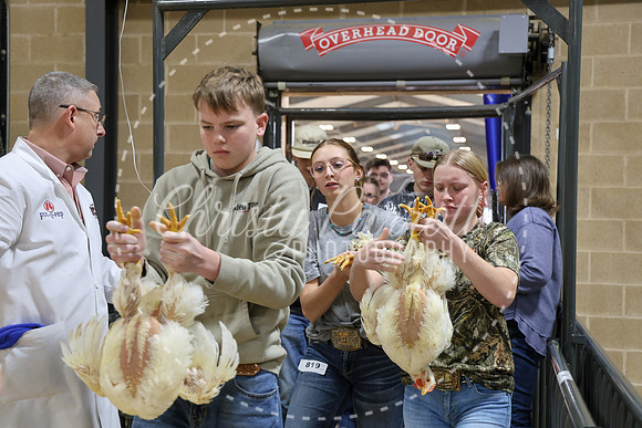 RCYPS26-Chicken-2367