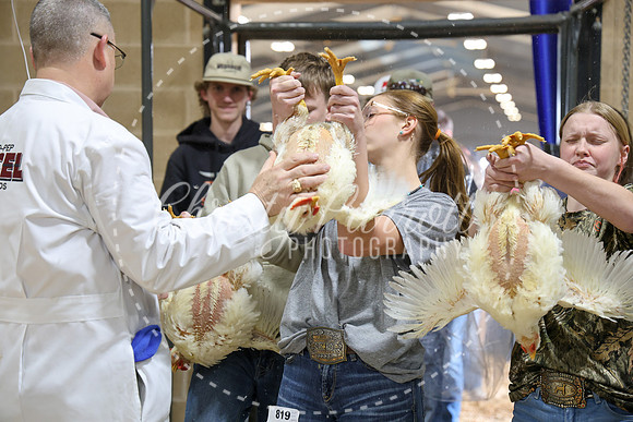 RCYPS26-Chicken-2365