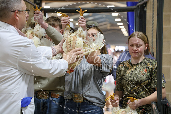 RCYPS26-Chicken-2366