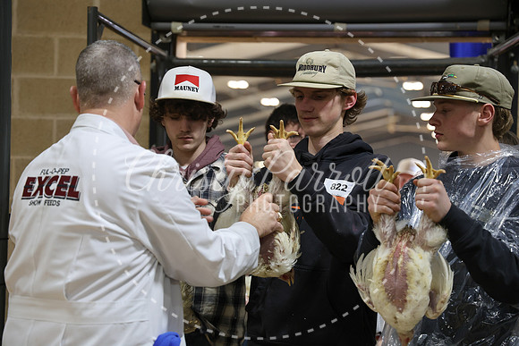 RCYPS26-Chicken-2368