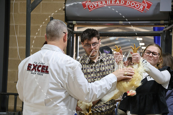 RCYPS26-Chicken-2370