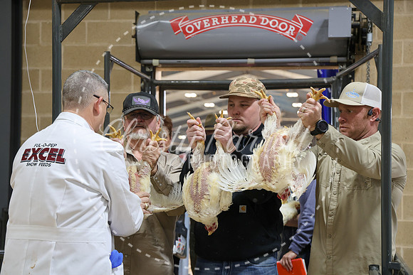 RCYPS26-Chicken-2372