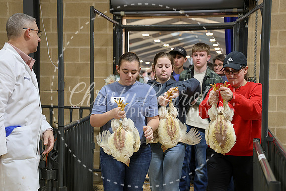 RCYPS26-Chicken-2377