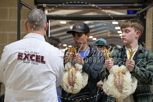 RCYPS26-Chicken-2379