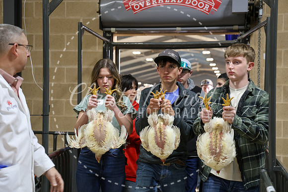 RCYPS26-Chicken-2381
