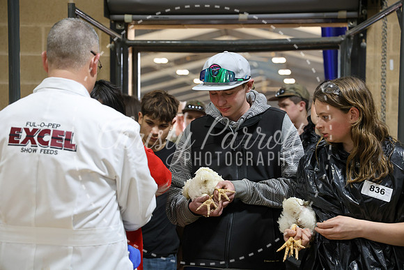 RCYPS26-Chicken-2382