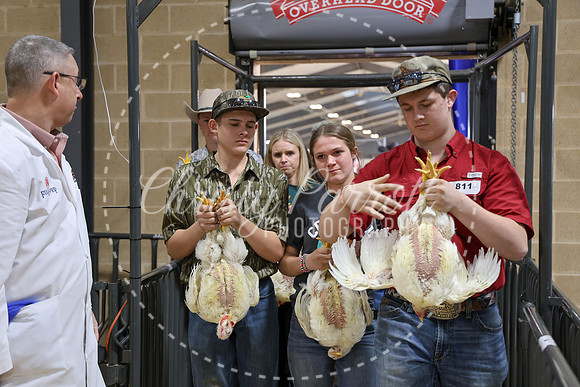RCYPS26-Chicken-2386