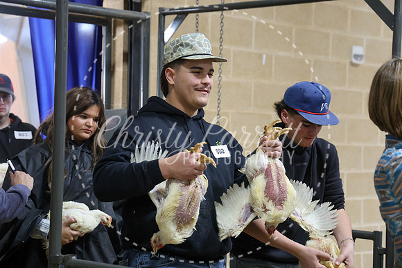 RCYPS26-Chicken-2387