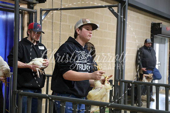 RCYPS26-Chicken-2389