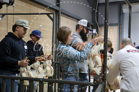 RCYPS26-Chicken-2388
