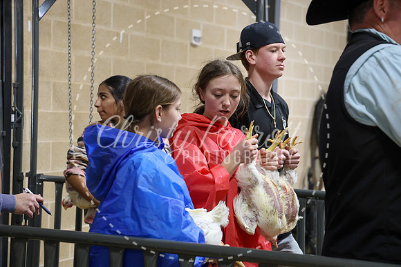 RCYPS26-Chicken-2395
