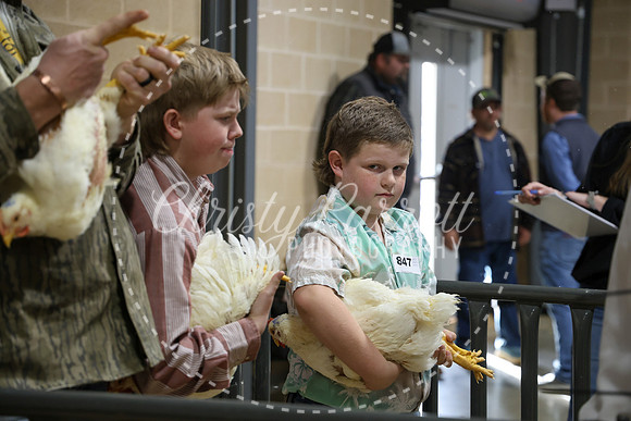 RCYPS26-Chicken-2401