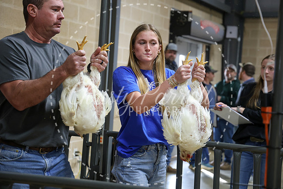 RCYPS26-Chicken-2403