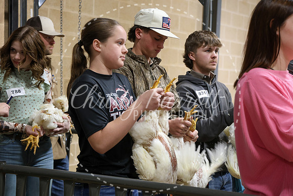 RCYPS26-Chicken-2405