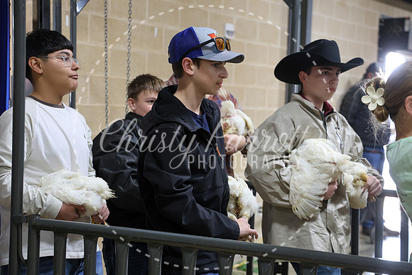 RCYPS26-Chicken-2408