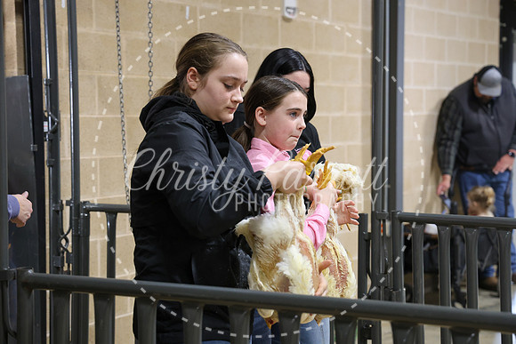 RCYPS26-Chicken-2413