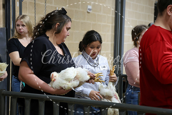 RCYPS26-Chicken-2418