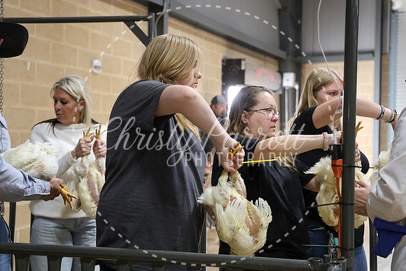 RCYPS26-Chicken-2419