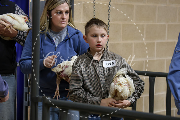 RCYPS26-Chicken-2421