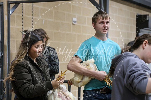RCYPS26-Chicken-2425