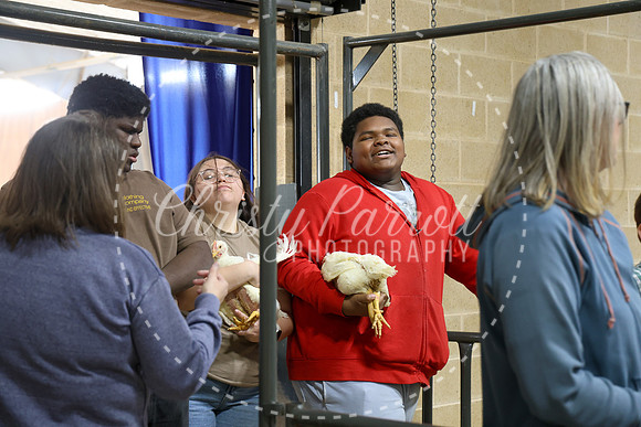RCYPS26-Chicken-2428