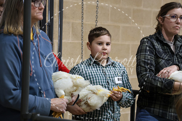 RCYPS26-Chicken-2427