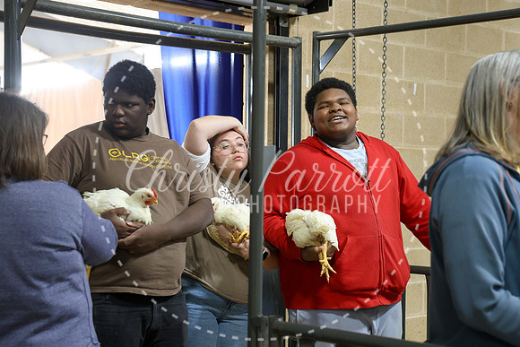 RCYPS26-Chicken-2429