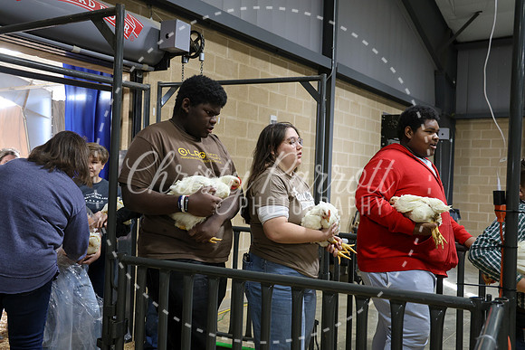 RCYPS26-Chicken-2431