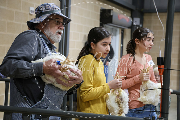 RCYPS26-Chicken-2435