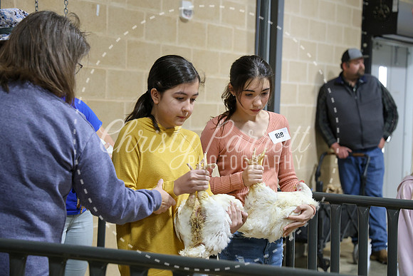 RCYPS26-Chicken-2434