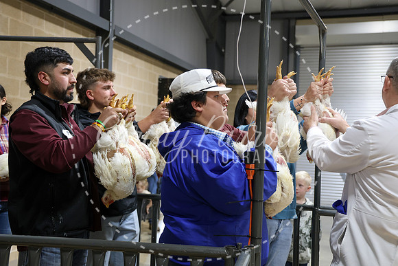 RCYPS26-Chicken-2438