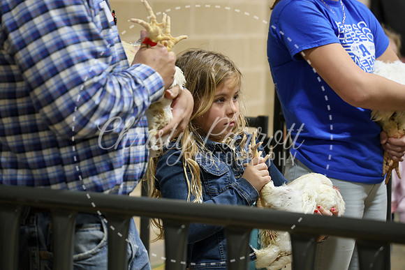 RCYPS26-Chicken-2436