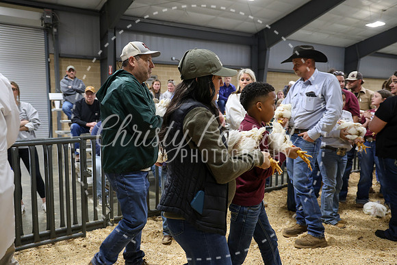 RCYPS26-Chicken-2437